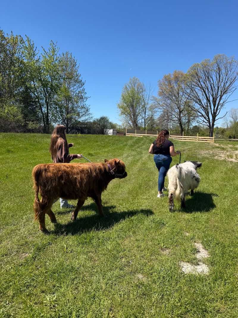 Cuddly Coos Farm, Swartz Creek