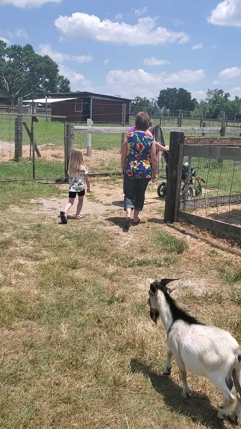 Multiple Paths Let You Dodge The Crowd