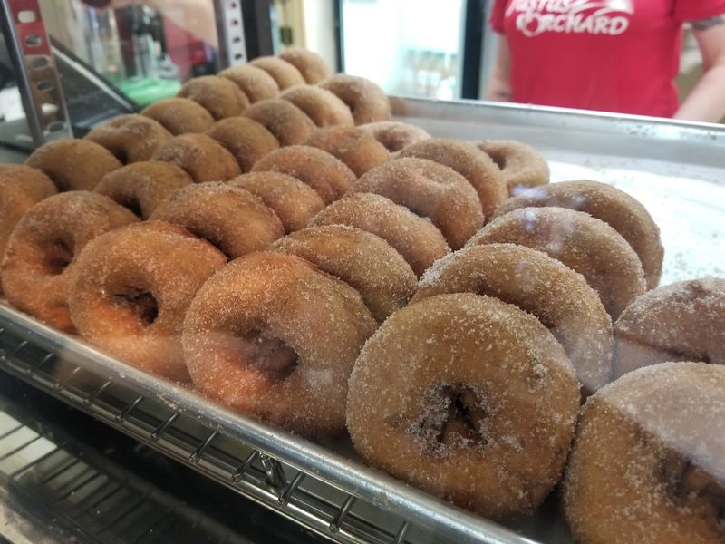 Reward Your Picking With A Fresh Apple Cider Donut