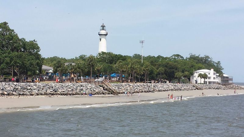 Wildlife That Shares The Shoreline