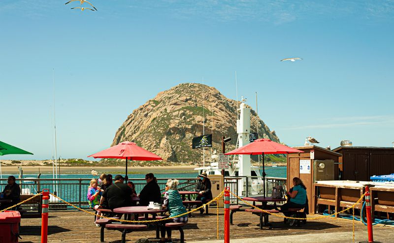 These 11 Unassuming Central California Restaurants Serve Seafood So Good They Deserve Way More Attention - Decor Hint Giovanni's Fish Market and Galley, Morro Bay