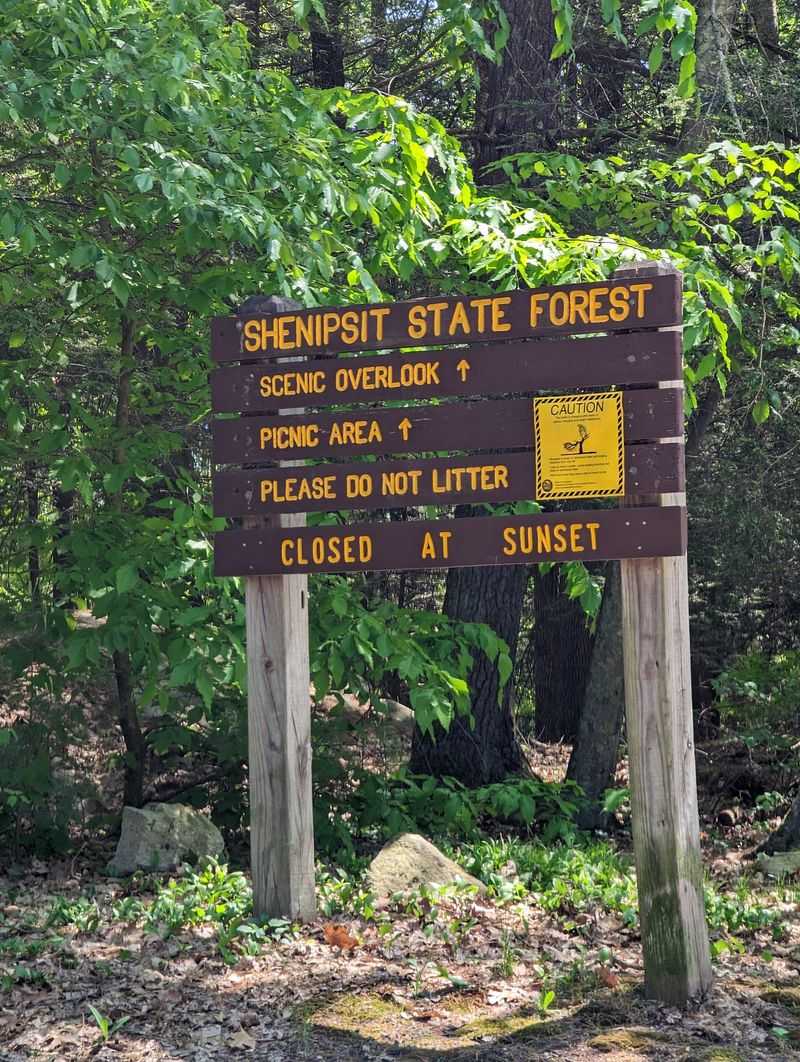 Shenipsit Trail At Shenipsit State Forest, Stafford
