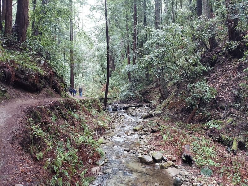 Fall Creek Keeps Flowing Through The Canyon All Year