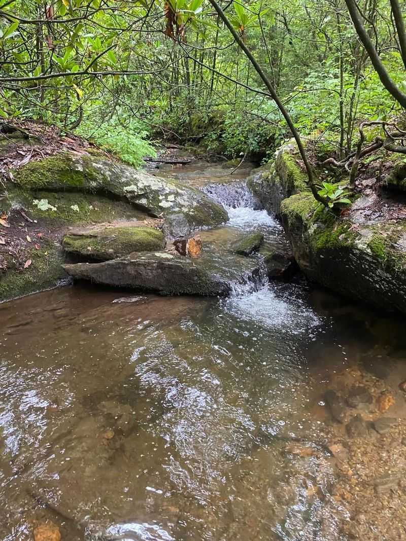 Camping Where The Loudest Sound Is A Creek