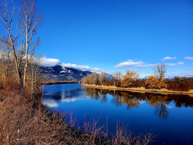Choosing Your Perfect Season