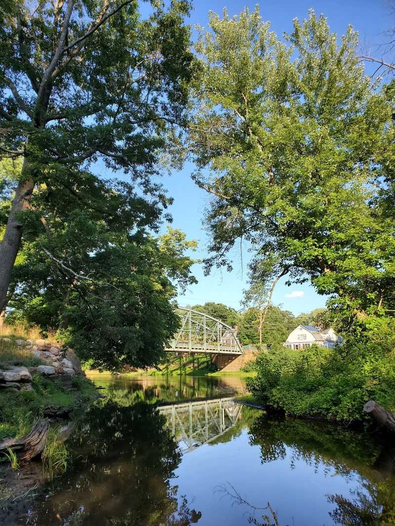 Northwest Of Hartford Is Bear Country