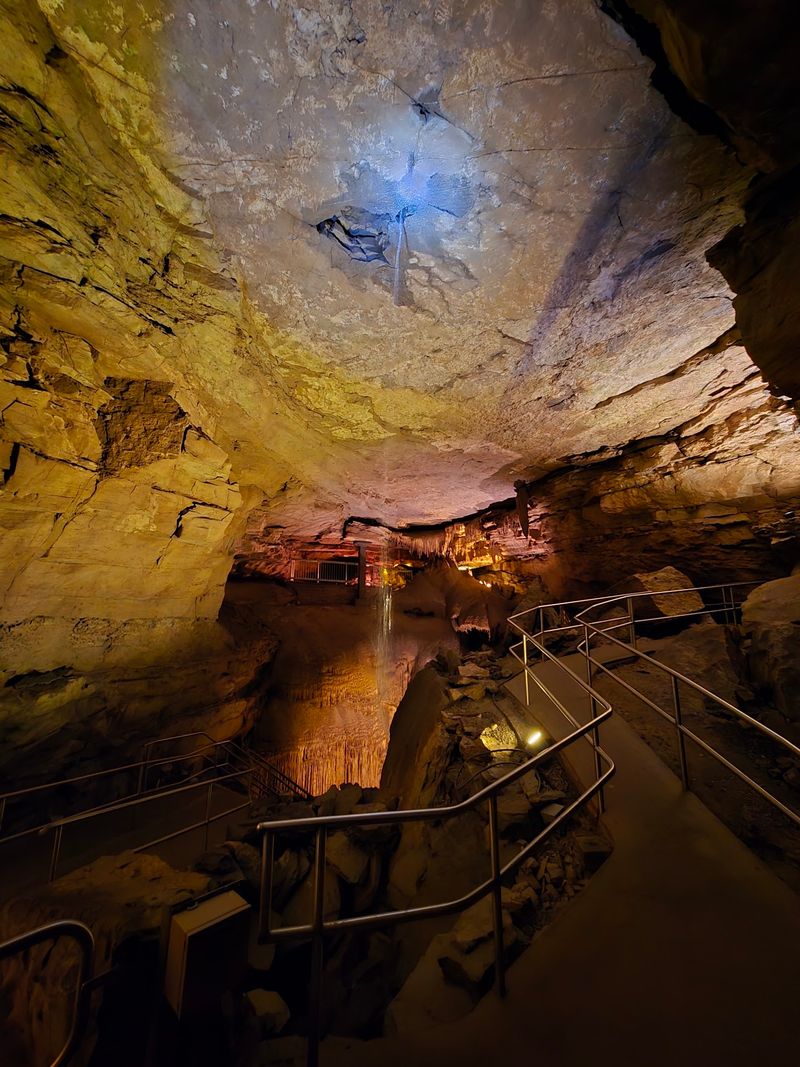 Scientists Keep Finding Ancient Sharks Inside Kentucky's Most Famous Cave - Decor Hint Glikmanius Careforum And A Family Pushed Back In Time