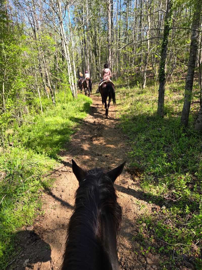 A Riding Lesson Before You Ever Leave The Barn