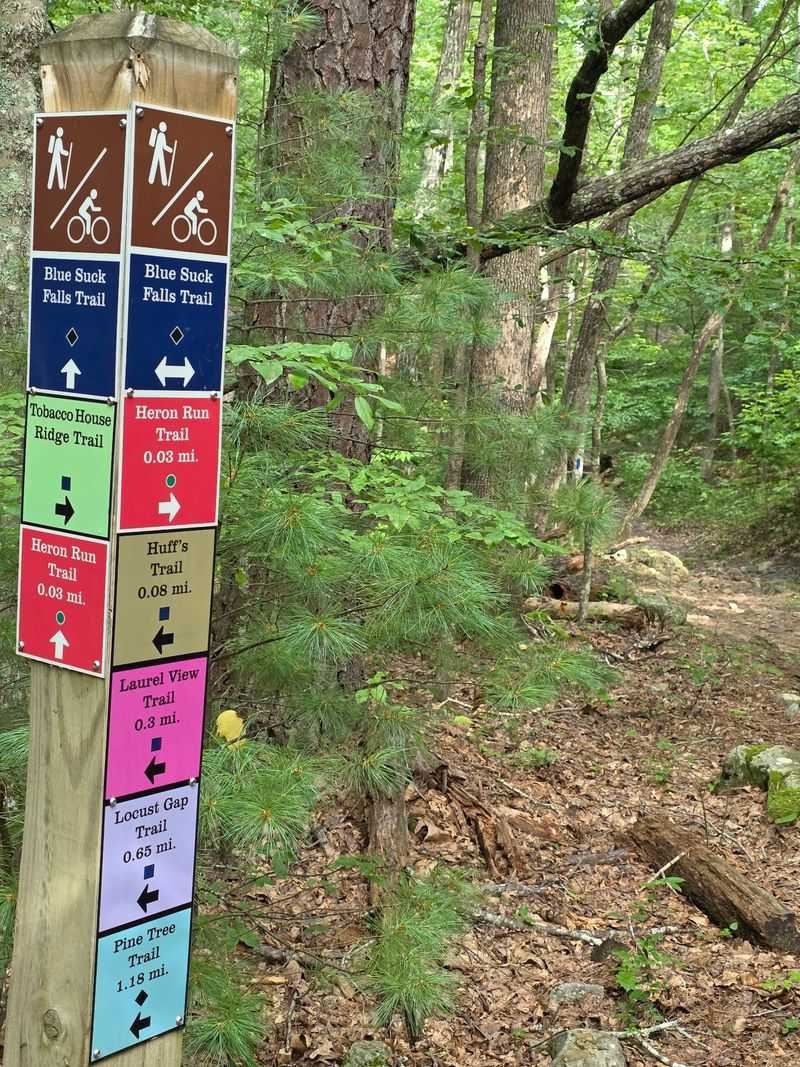 This Virginia State Park Boasts One Of The Most Stunning Lakes You've Likely Never Visited - Decor Hint More Than 40 Miles Of Trails To Wander