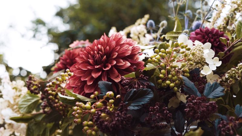 Take Home Blooms That Were Harvested Right Down The Road