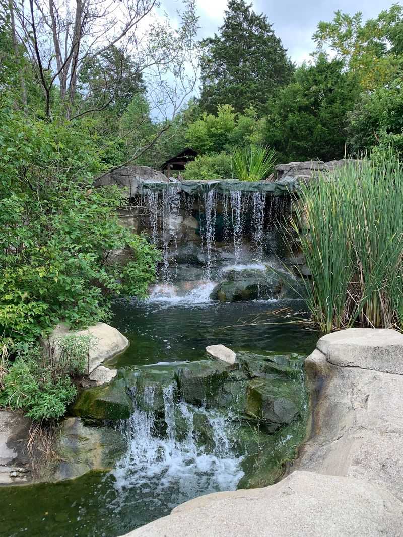 Trails, Lakes, And Planning A Visit That Works