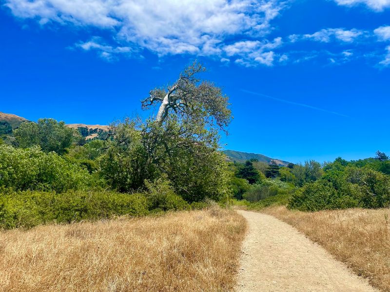 This Easy 2-Mile California Trail Leads Straight To The Ocean And September Is The Perfect Time To Go - Decor Hint Officially Rated Easy, And It Actually Feels That Way