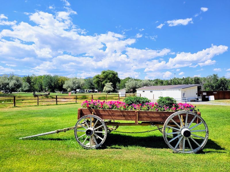 Deep In Idaho's Wilderness, One Hot Spring Still Feels Like A Secret - Decor Hint Homesteaders And Horse Teams