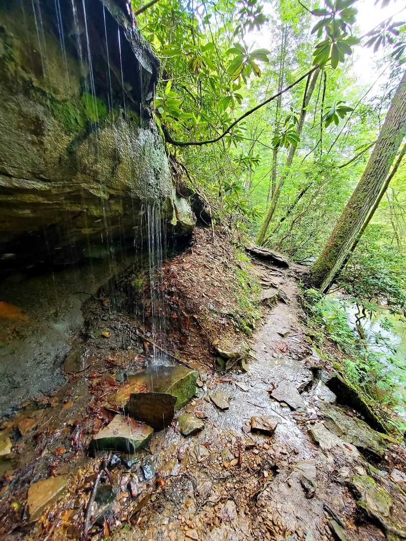 One Kentucky Waterfall Has A Frightening Name And An Ideal Swimming Hole - Decor Hint What The Hike Feels Like