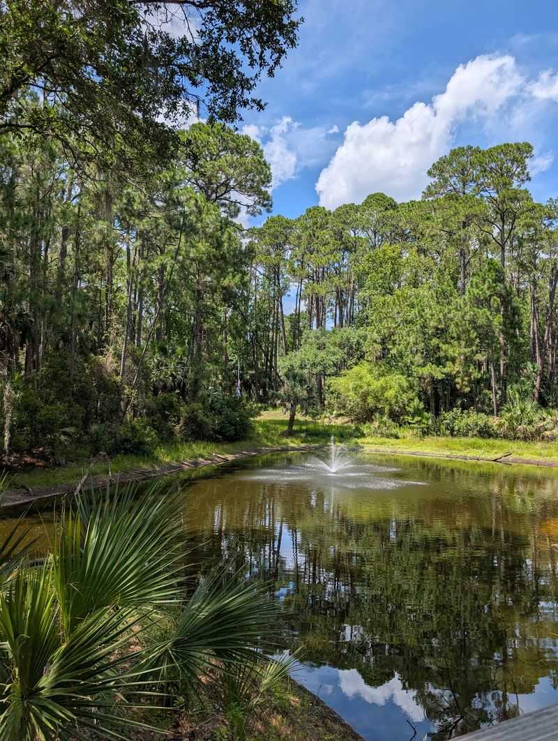 Turtles, Gators And Painted Buntings