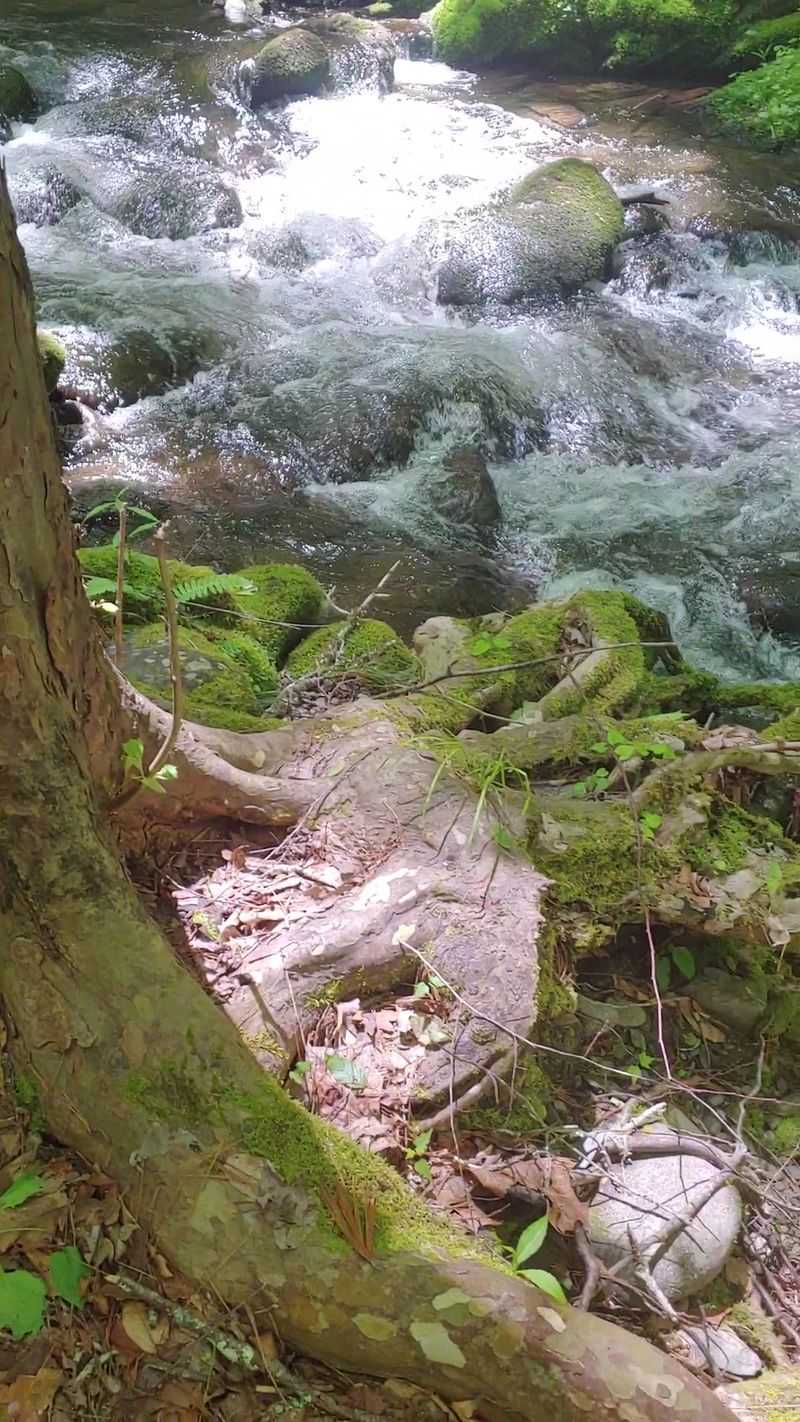 Waterfall Trails That Skip The Tour Buses