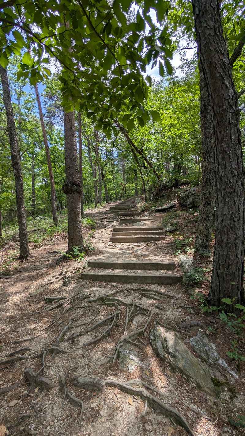 Tory's Den Cave And Waterfalls Trail
