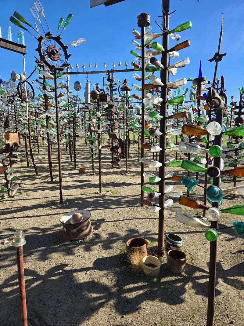 Elmer's Bottle Tree Ranch Sings in the Wind