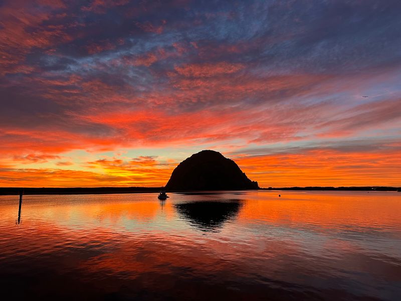 This California Seafood Restaurant Serves Fresh Shrimp With Stunning Morro Bay Views - Decor Hint Morro Rock Turns Window Seats Into Prime Real Estate