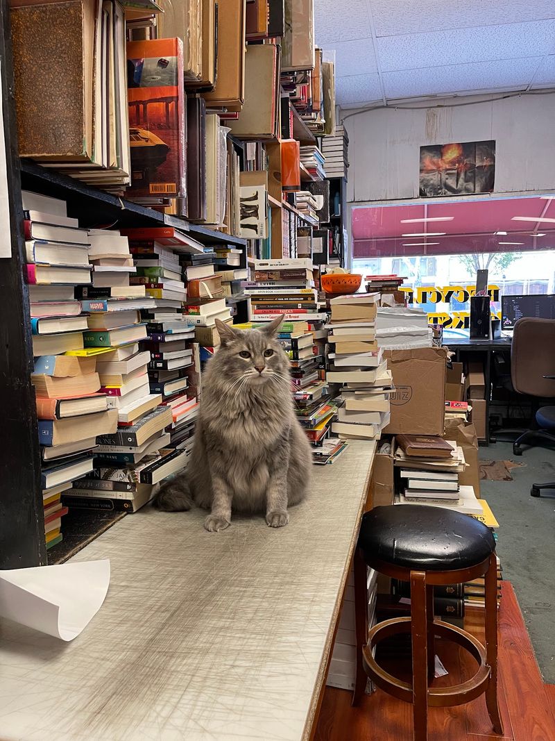 Recycle Bookstore, San Jose