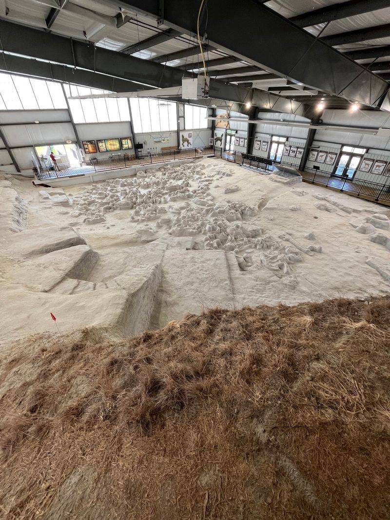 12 Hidden Nebraska Places Even Lifelong Residents May Have Never Visited - Decor Hint Ashfall Fossil Beds State Historical Park, near Royal