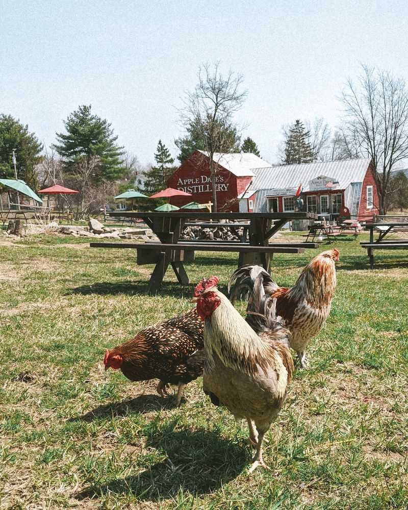 This Beautiful New York Farm Is Quietly Opening Its Apple Orchards Before The Fall Crowds Arrive - Decor Hint Farm Stand Finds Beyond The Apples