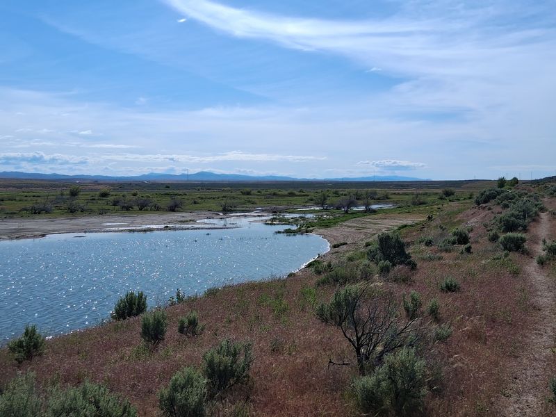 Notice How Changing Water Levels Create Different Feeding Areas