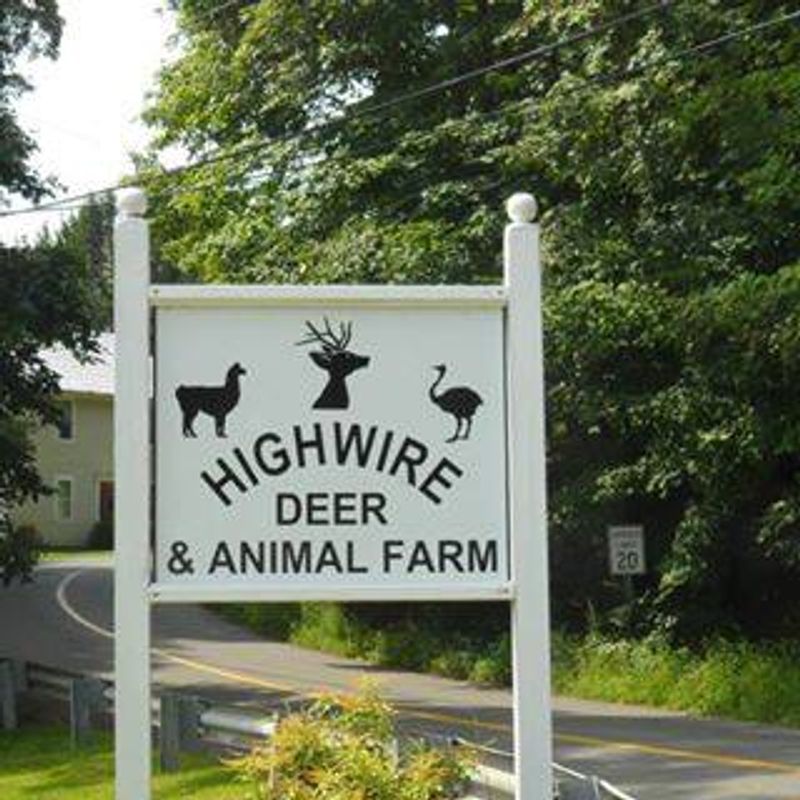 This Connecticut Animal Farm Lets You Feed Exotic Animals And Meet Everything From Zebras To Kangaroos - Decor Hint Cash-Only Admission Keeps Things Simple
