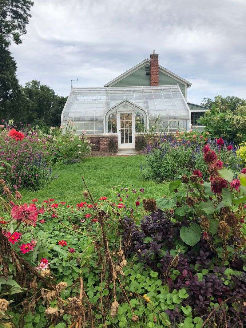 August Still Brings Plenty To See Beyond Peak Rose Season