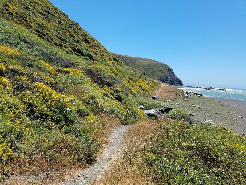 Follow Trails Where Highway 1 Could Not Go