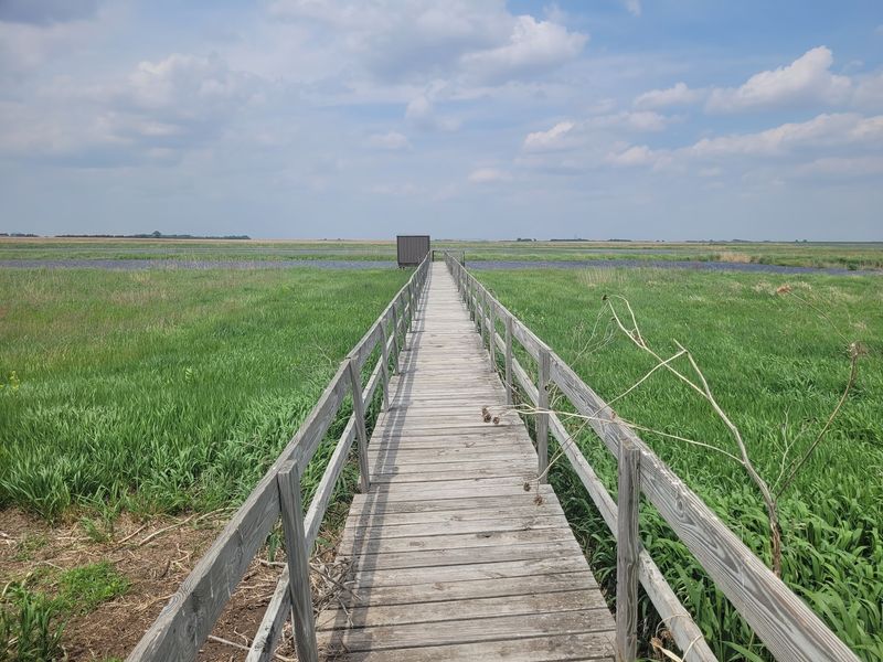 Step Onto A 150-Foot Wetland Boardwalk