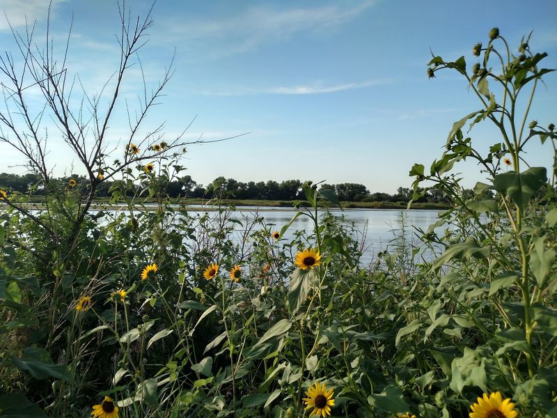 Discover The Woman Whose Gift Helped Create The Sanctuary