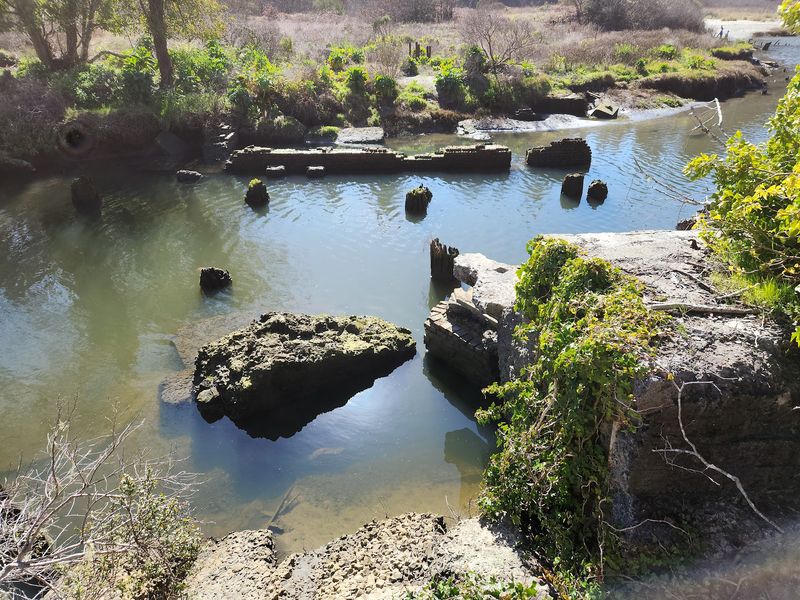 Search The Tide Pools When The Ocean Pulls Back