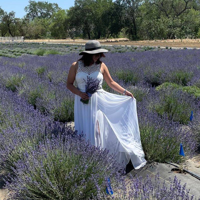 Cut A Lavender Bouquet Straight From The Field