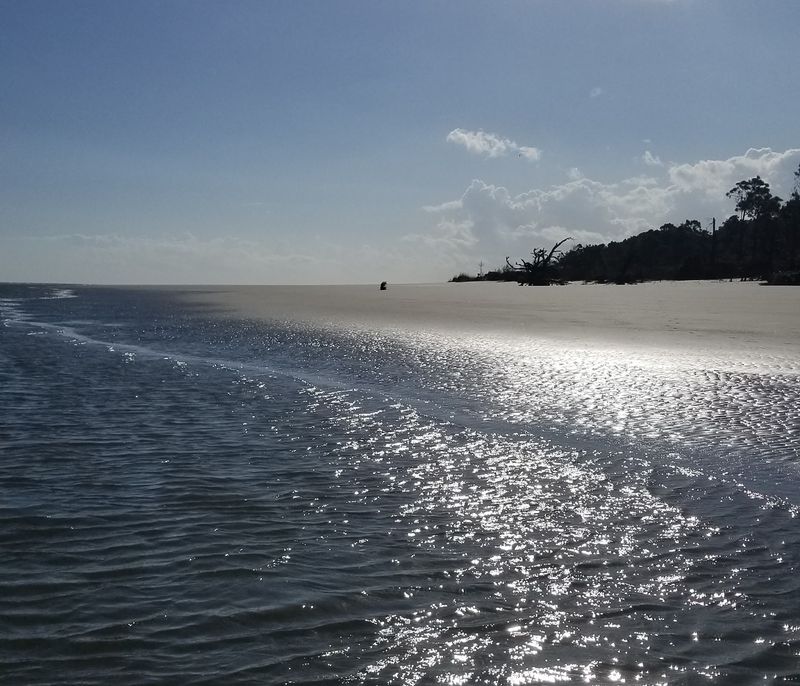 Blackbeard Island 