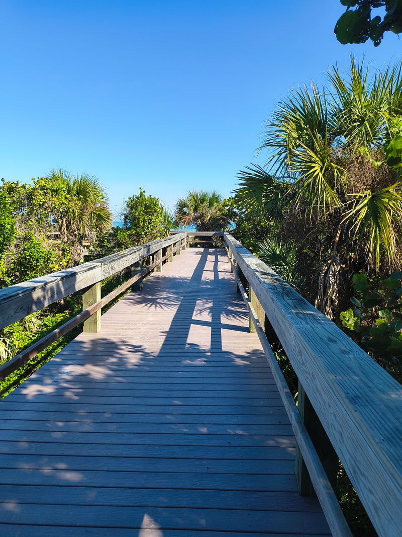 Visit Lori Wilson Park