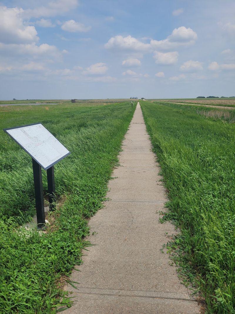 Follow A 650-Foot Wildlife Track Walkway