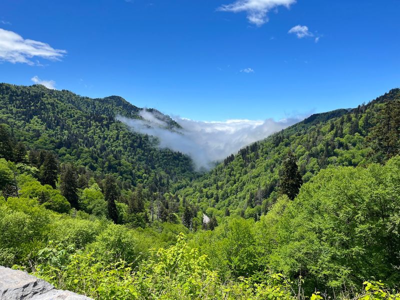 Drive Newfound Gap Road For One Of The Park's Classic Scenic Routes