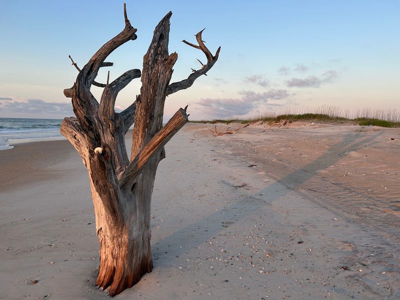 Treat The Reserve Like A Wild Place, Not A Beach Club
