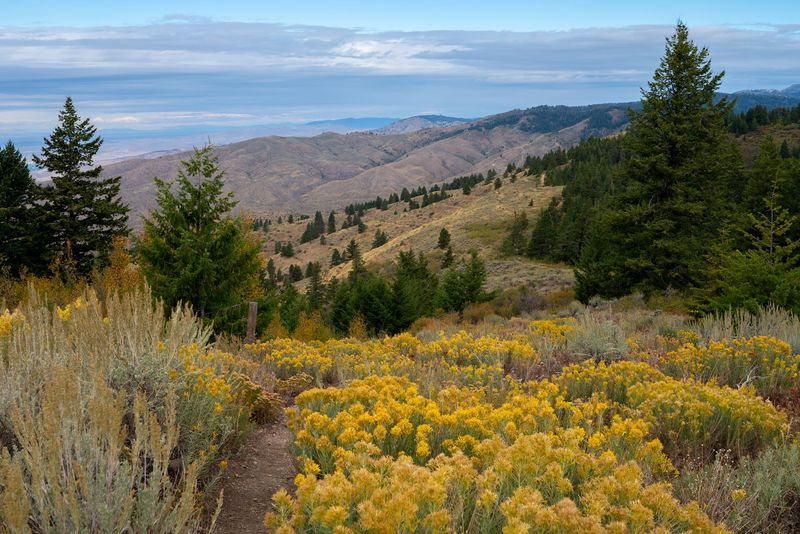See Why Lucky Peak Becomes A Fall Migration Hotspot