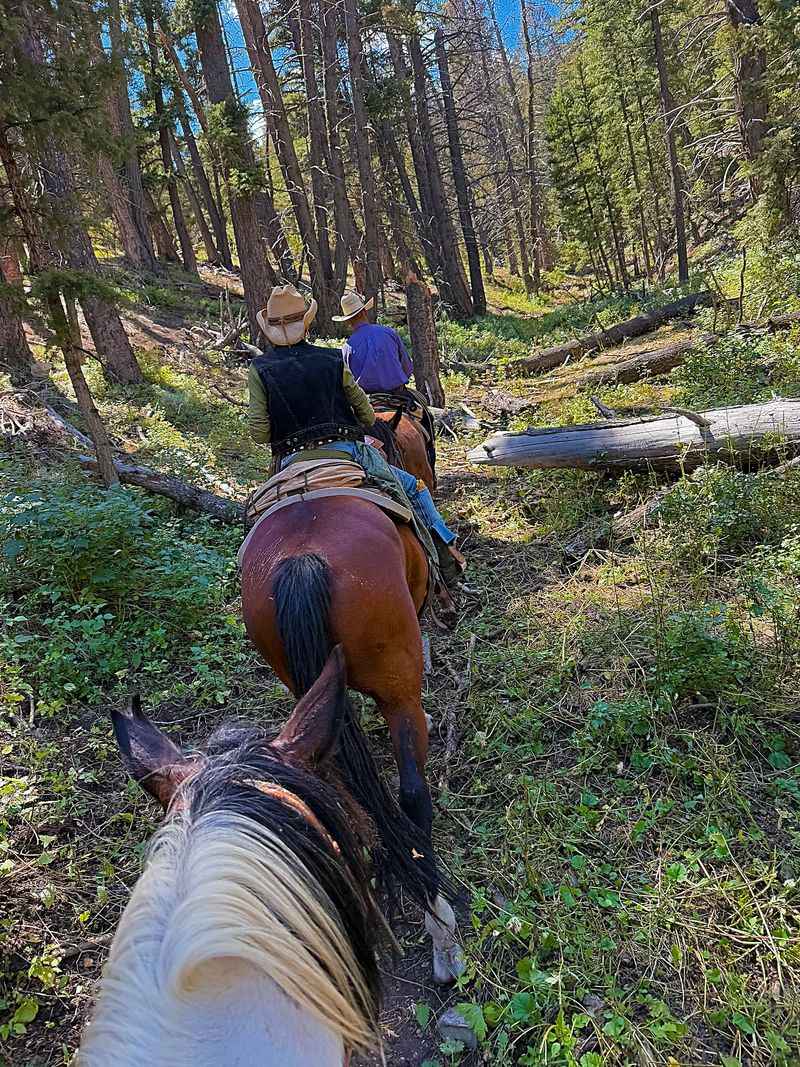 Wake Up Ready To Do It All Again From The Saddle