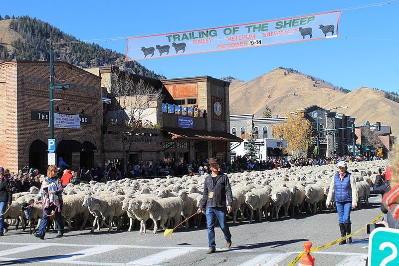 See Historic Sheep Wagons Up Close At The Folklife Fair