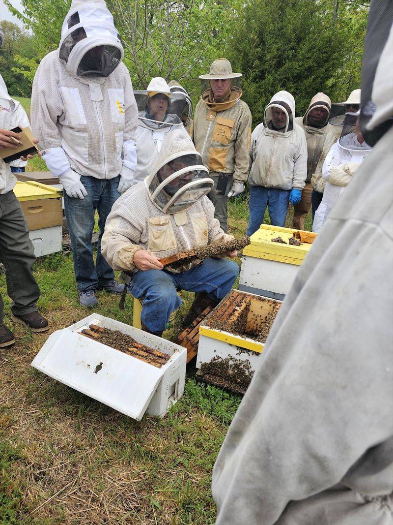 Friendly Advice From People Who Keep Hives