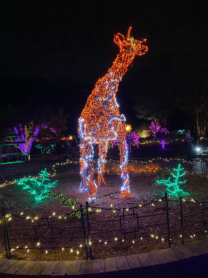 Winter Nights Glow With More Than A Million Lights
