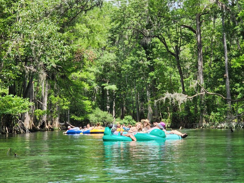 The Gentle River Journey