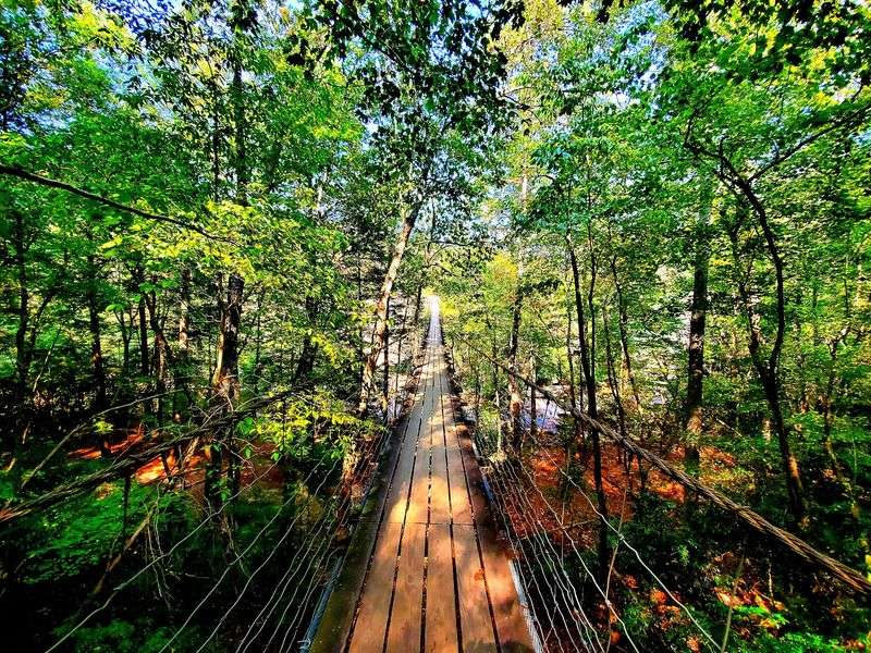 Trails Worth Your Mileage