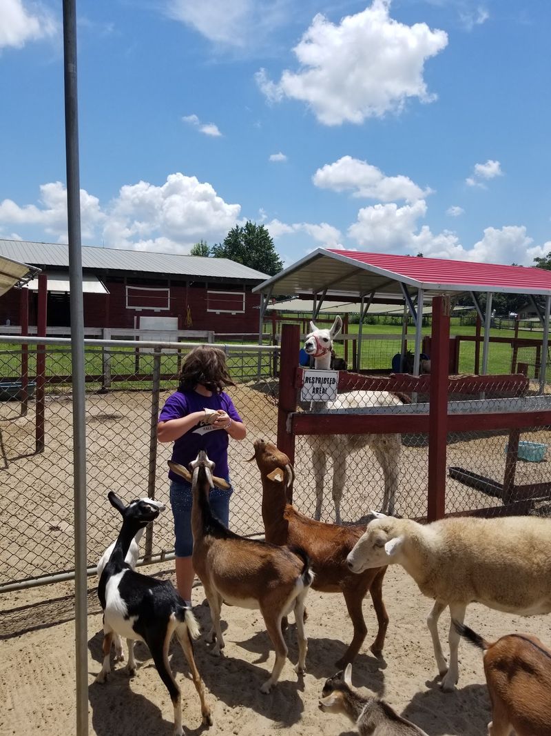 Feed Bags Turn Everyone Into A Celebrity