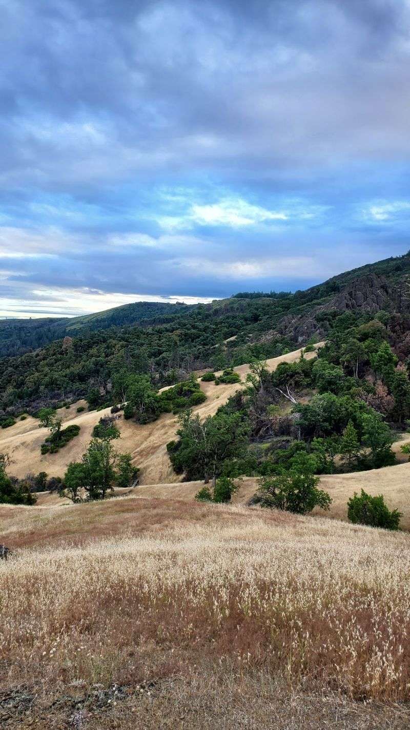 Welcome To This California Forest Where Even The Ticks Come With A Warning - Decor Hint The Tick Warning Comes Straight From The Forest Service