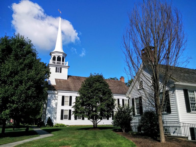 Wilton