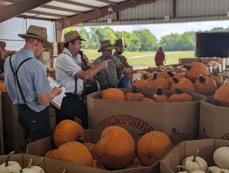 The Amish Farming Connection